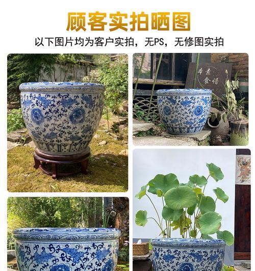 鱼缸中养莲花，打造清雅水景（简单易行的养护方法让你轻松拥有美丽莲花）-第2张图片-绿意生活