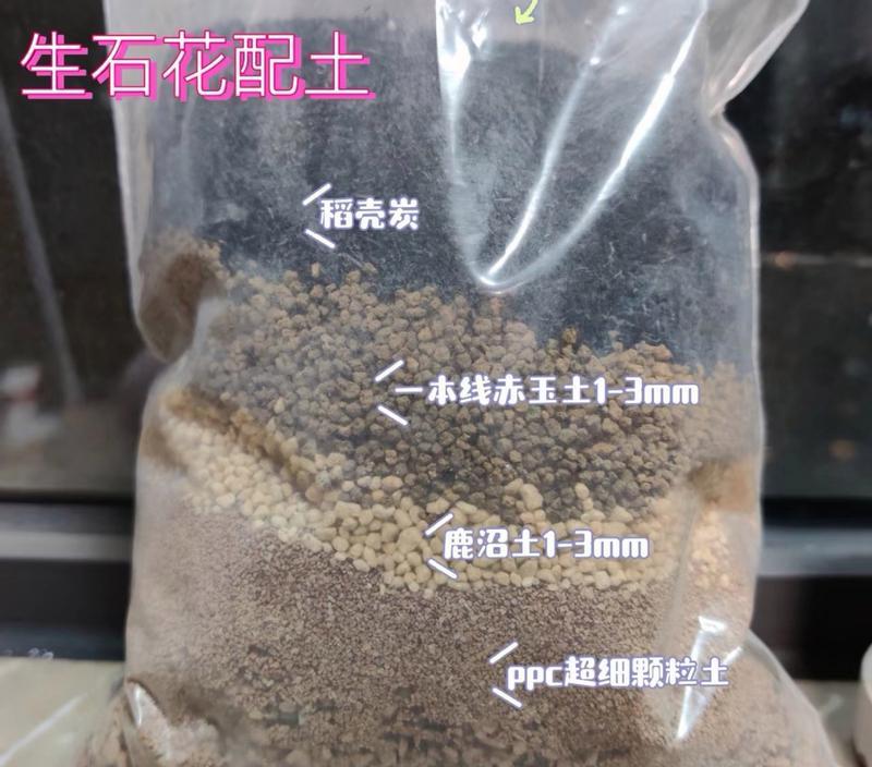 生石花种子的养殖方法详解（打造属于你的石头花园，从种子开始）-第3张图片-绿意生活