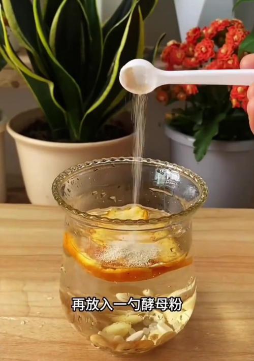 发酵牛奶浇花的神奇之处（打造健康花园，从发酵牛奶开始）-第1张图片-绿意生活