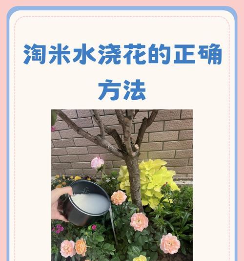 发酵牛奶浇花的神奇之处（打造健康花园，从发酵牛奶开始）-第3张图片-绿意生活