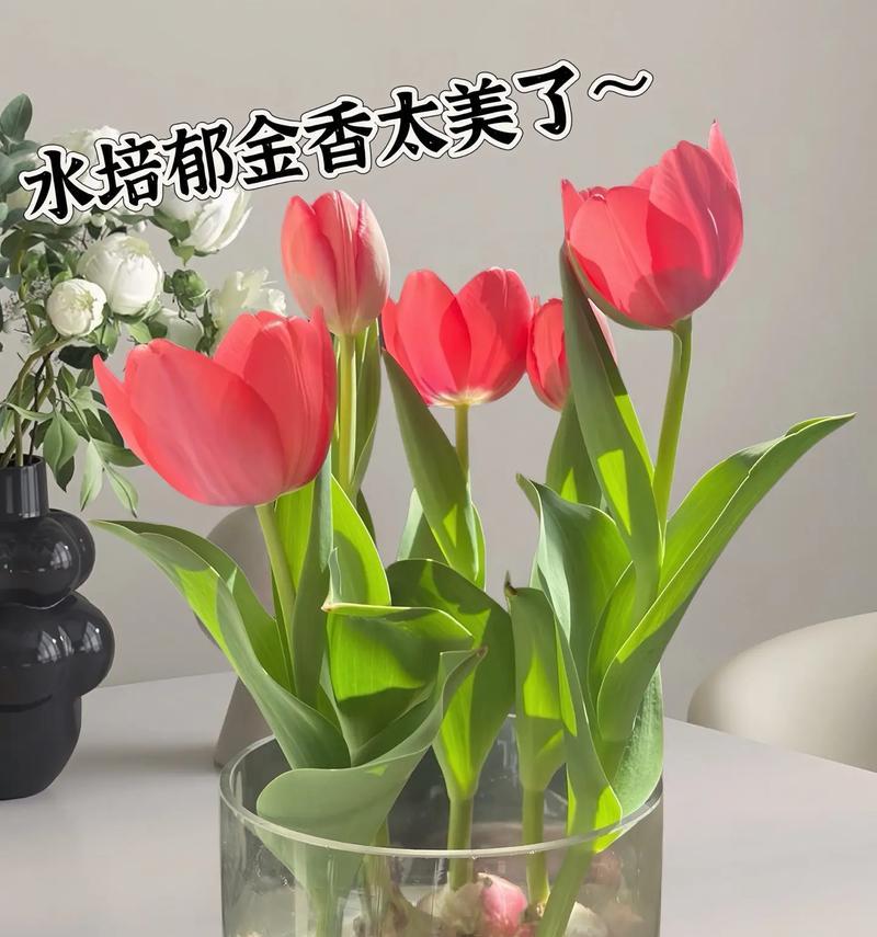 郁金香盛开的花海（探秘郁金香的生长之道）-第1张图片-绿意生活