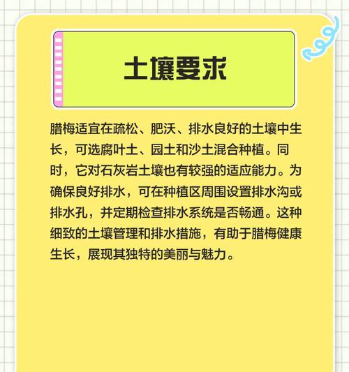 腊梅生长条件与特点（解析腊梅生长需要的温度、湿度、土壤等条件，探讨腊梅的生长特点）-第2张图片-绿意生活