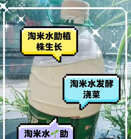 科学浇水（以浇菜为主题，探索最佳浇水方式）-第2张图片-绿意生活