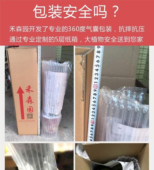 以黑叶芋水培，追寻绿色生活之路（黑叶芋的水培方法与养护技巧）-第1张图片-绿意生活