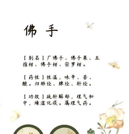 佛手指多肉之美——描绘自然之神奇（探索佛手指多肉的独特魅力与生命力）-第3张图片-绿意生活