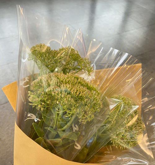 喝剩的咖啡还能有这些用处！（浇花神器！喝剩的咖啡不要倒，它还有这些神奇作用。）-第2张图片-绿意生活
