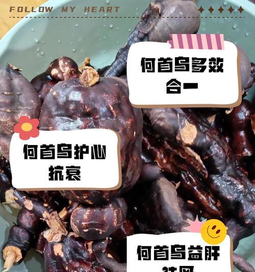 探秘何首乌的功效与作用（何首乌的神奇功效和正确食用方法详解，中医传统草药的明珠）-第2张图片-绿意生活