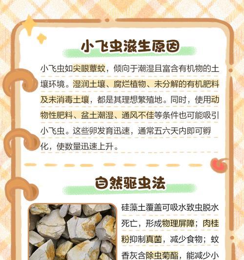 花盆小飞虫的防治方法（以花盆的土生小飞虫如何处理）-第1张图片-绿意生活