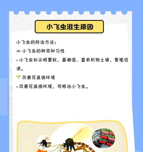 花盆小飞虫的防治方法（以花盆的土生小飞虫如何处理）-第2张图片-绿意生活