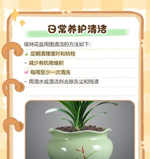 花盆小飞虫的防治方法（以花盆的土生小飞虫如何处理）-第3张图片-绿意生活