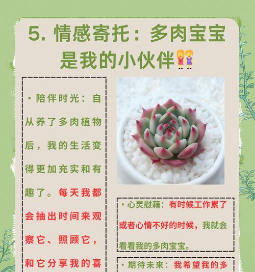 多肉种子的种植与养护指南（从种子到多肉，轻松打造独特花园）-第2张图片-绿意生活