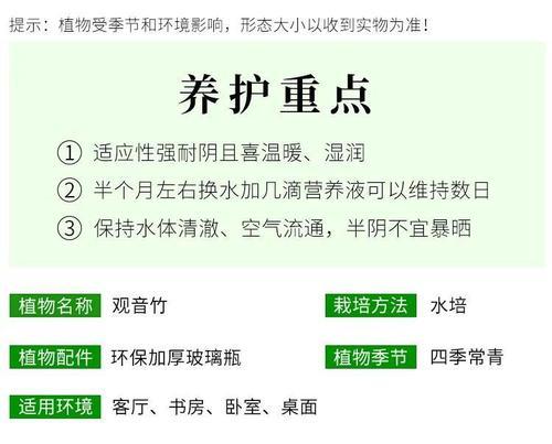 土养莲花竹的养护技巧（以土养莲花竹，打造翠绿生机之美）-第1张图片-绿意生活