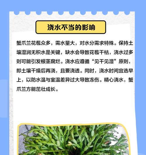 夏季蟹爪兰掉花苞的养护指南（蟹爪兰掉花苞的原因及预防措施）-第2张图片-绿意生活