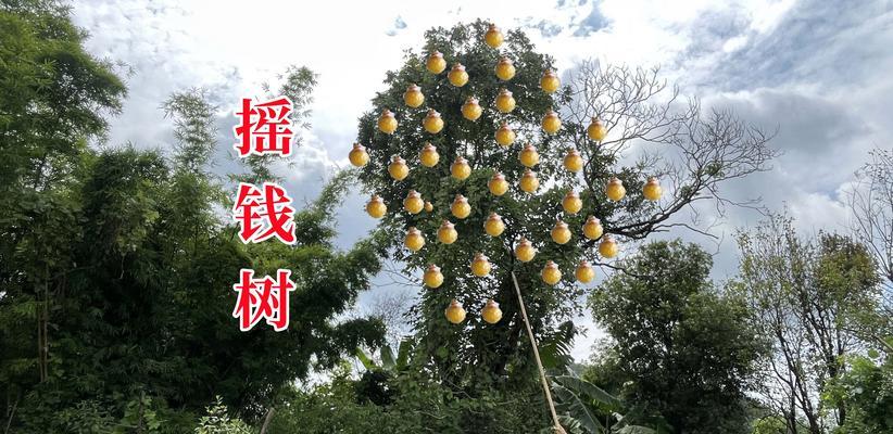 摇钱树的养殖方法（轻松养活摇钱树，创造财富无限！）-第1张图片-绿意生活