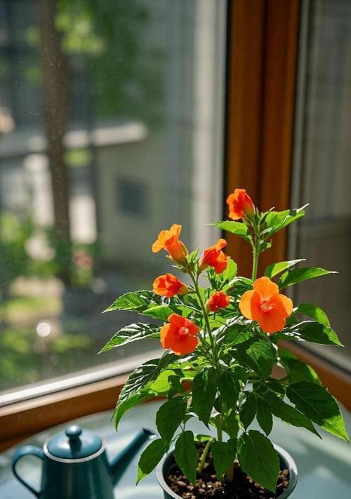 以凤仙花在盆中种植的全面指南（从选种到养护，让你轻松打造美丽的凤仙花盆栽）-第1张图片-绿意生活