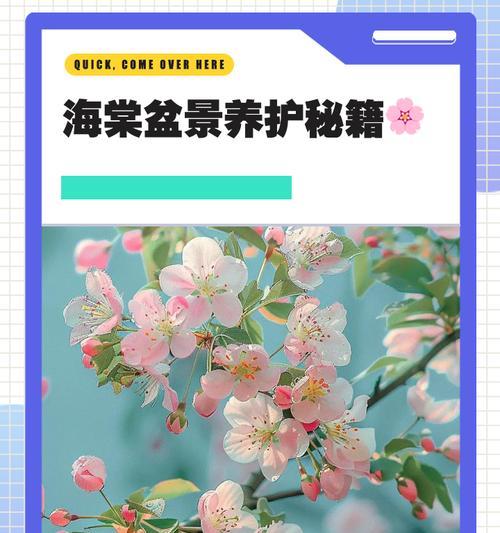 海棠栽培指南（海棠的配土方法与种植土壤）-第3张图片-绿意生活