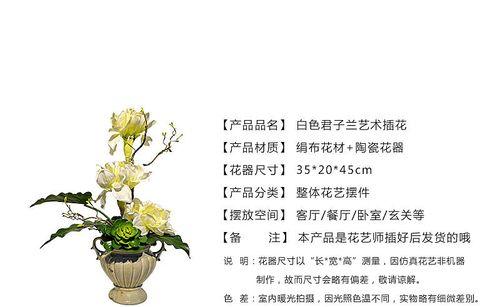 以君子兰插花蔫了怎么办（教你恢复君子兰的生机与魅力）-第3张图片-绿意生活