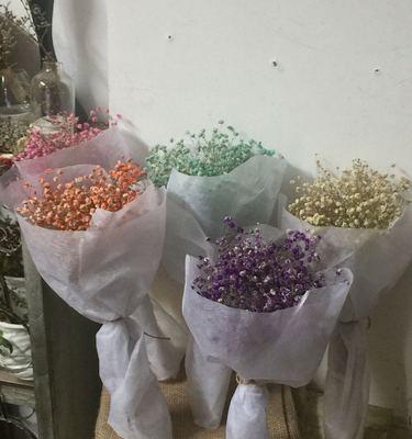 满天星的花艺之美（欣赏与创造，满天星花束的艺术魅力）-第2张图片-绿意生活