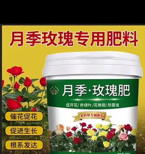 以沙漠玫瑰怎么养殖（打造沙漠绿洲，绽放沙漠玫瑰之美）-第2张图片-绿意生活
