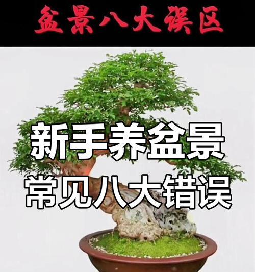 盆栽养护指南（让你的盆栽健康茁壮一生！）-第1张图片-绿意生活