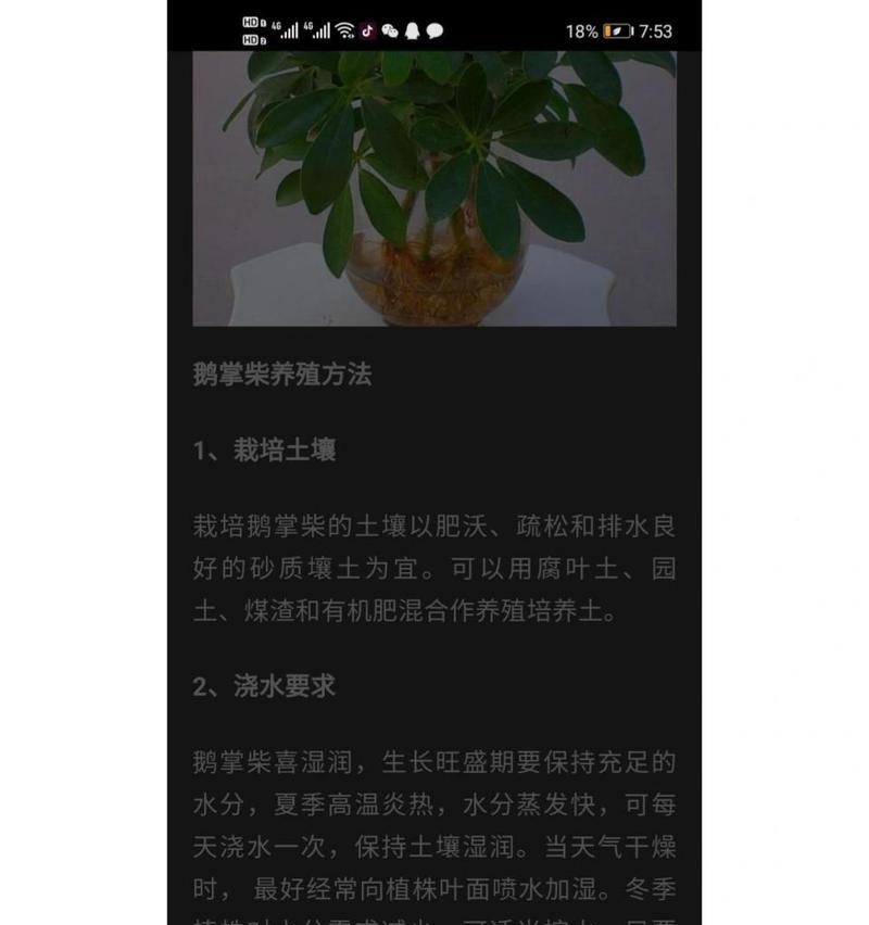 鹅掌柴养护全攻略（掌握鹅掌柴养殖诀窍，打造绿意盎然的家园）-第1张图片-绿意生活